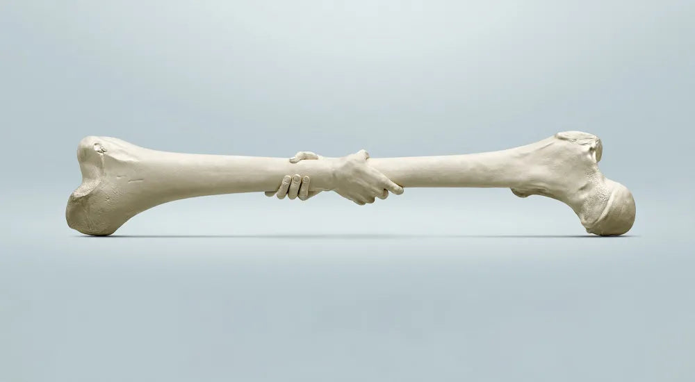 Bone health Tips to keep your bones