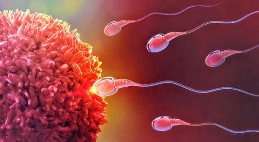 Infertility in Male: Reasons and Treatment